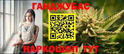тгк Новокубанск