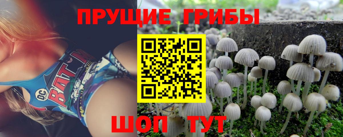 Сыктывкар  Галлюциногенные грибы Psilocybe  наркошоп  Вход с VPN 