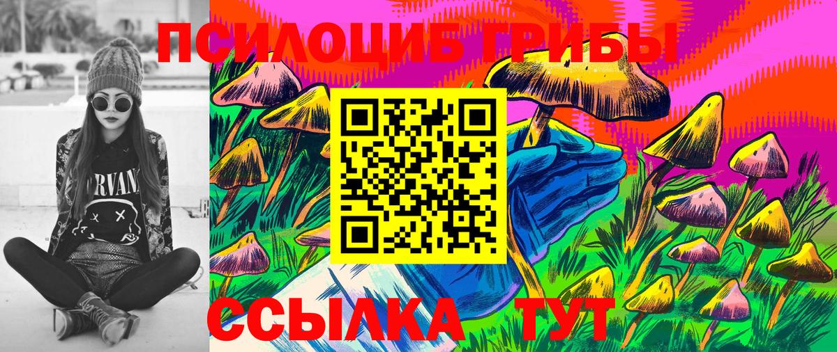Галлюциногенные грибы Cubensis Сыктывкар